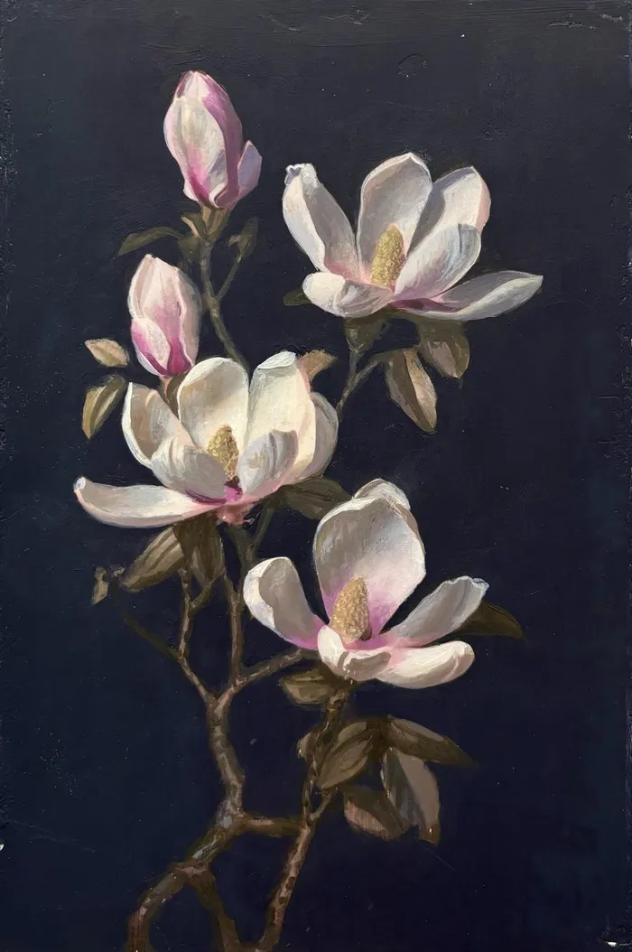 Magnolia 