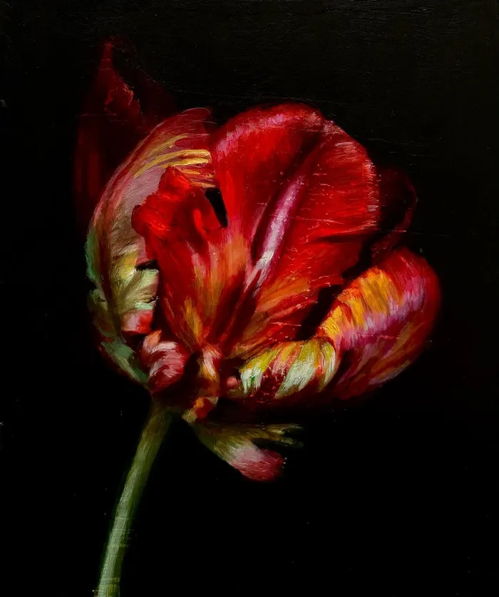 Parrot Tulip 1