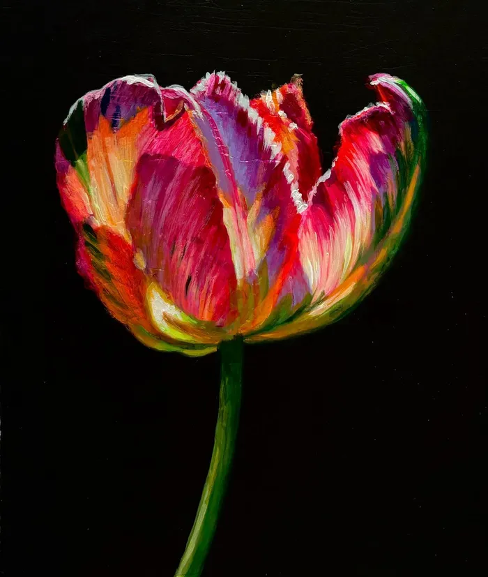 Parrot Tulip 3