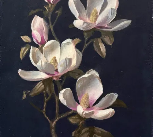 Magnolia 